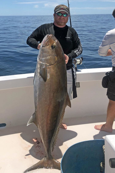 How to Catch Amberjack  Charter Fishing Destin