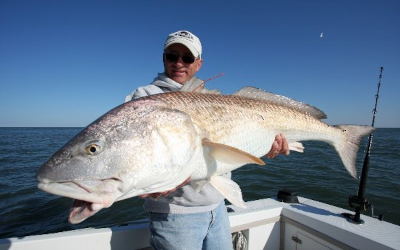 Catching Redfish in Destin, Florida: A Complete Guide