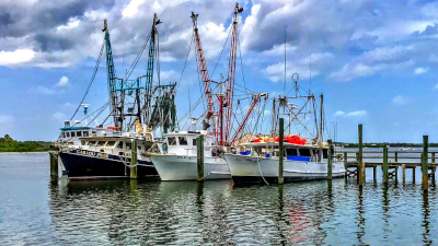 Fishing with Destin Florida Fishing Charters