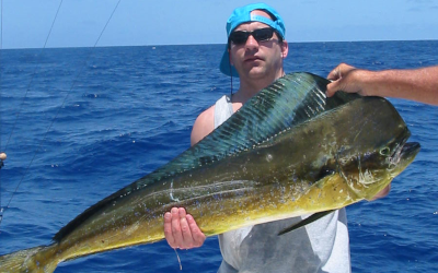 Catching Dolphinfish in Destin, Florida