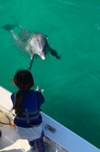 Destin Florida Dolphin Tours