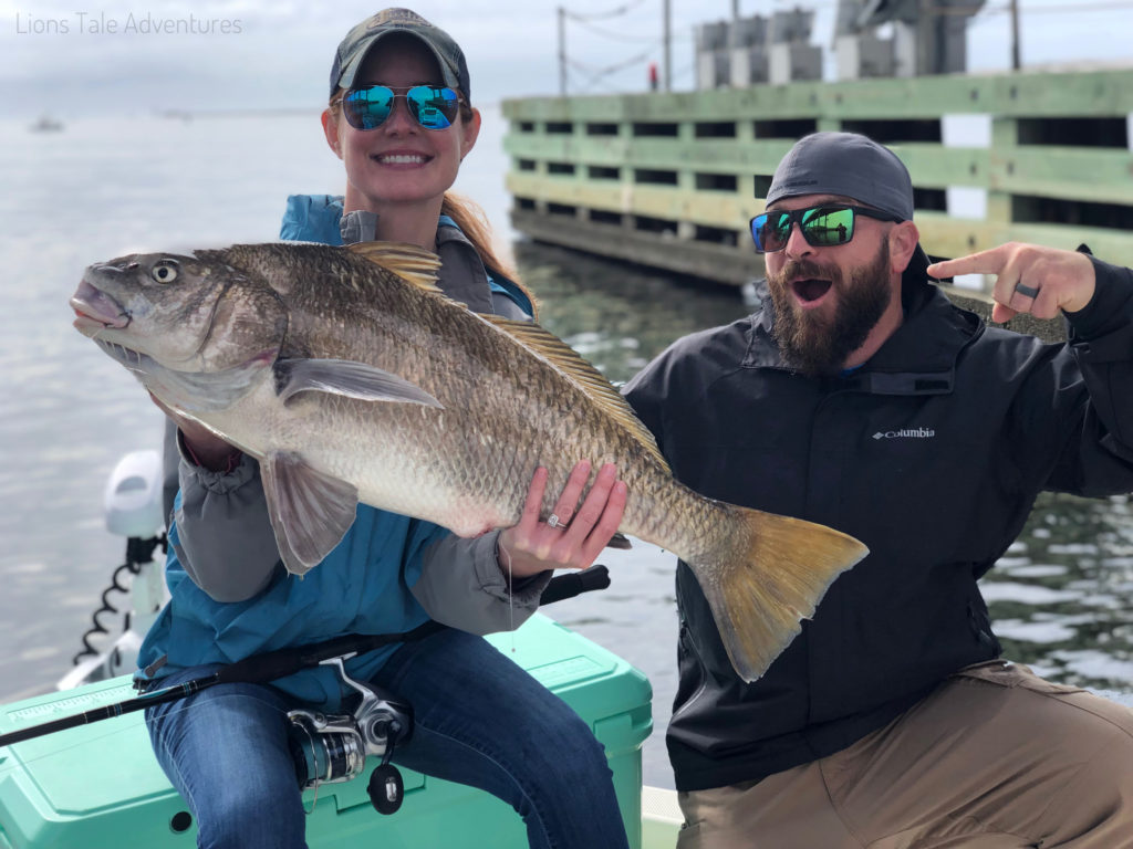 Sight Fishing Redfish on Destin Florida Beaches - Lion's Tale Adventures