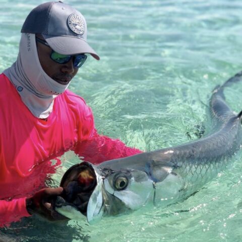Tarpon Fishing Charters | Tarpon Springs Fishing Trips
