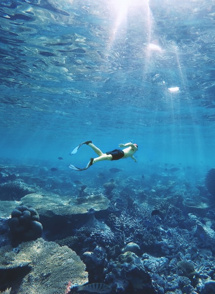 Snorkeling in Destin, Florida