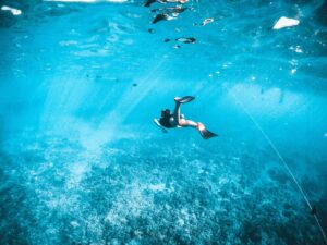 Snorkeling in Destin