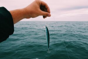 Fishing Regulations in Destin