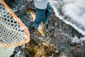 Target-Speckled-Trout-in-Destin