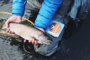 Target-Speckled-Trout-in-Destin