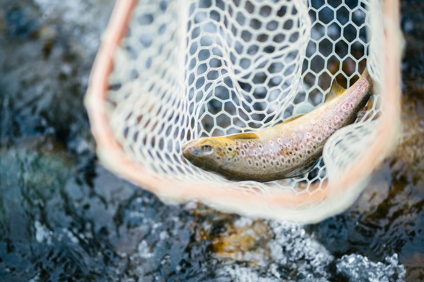 How to Target Speckled Trout in Destin, Florida