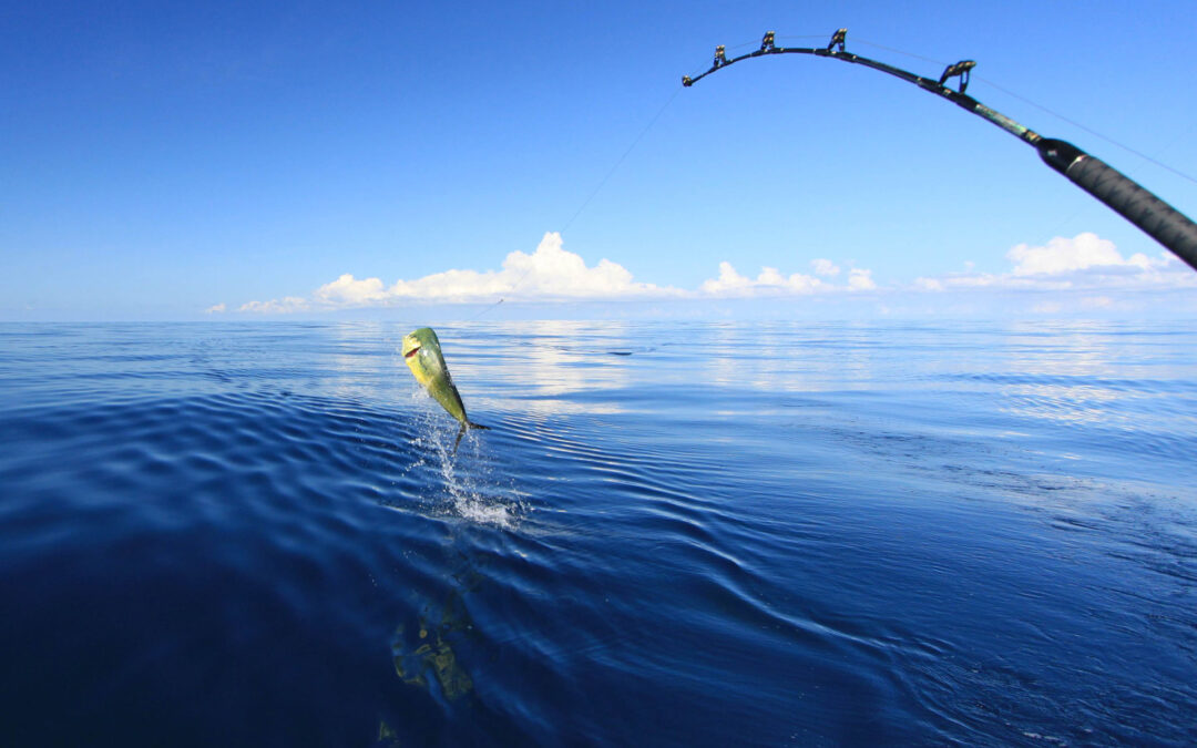 Deep-Sea Fishing in Destin, Florida: 6 Helpful Tips￼