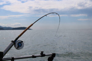 Deep-Sea Fishing in Destin