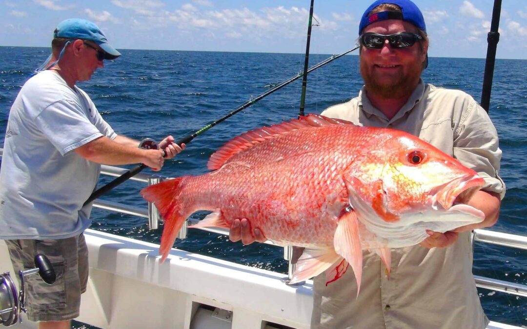 The Top 6 Ways to Find and Catch Redfish in Destin, Florida