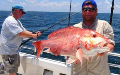 The Top 6 Ways to Find and Catch Redfish in Destin, Florida
