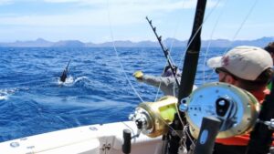 Deep-Sea Fishing in Destin