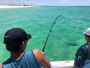 Florida for Your Next Tarpon Fishing Trip