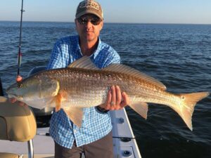 Sight Fishing for Redfish in Destin