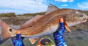 Catch Destin Florida Redfish