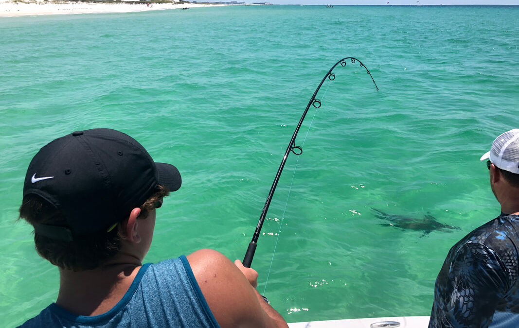 Destin Fishing Season for Inshore Fish