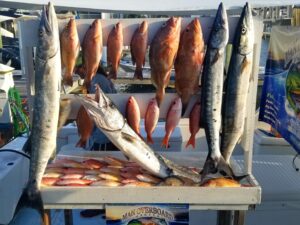 Destin Fishing Charter