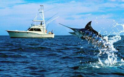 Everything You Need to Know About Destin Fishing Charters