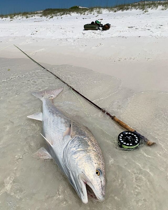 Fly Fishing in Destin