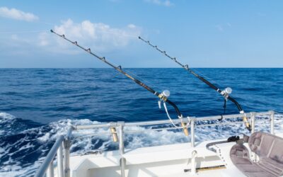 Why Book an Offshore Fishing Charter in Destin?