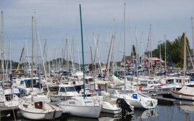 Is Tipping Your Fishing Guide Expected? How Much?