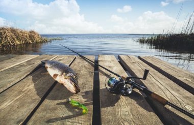 The Best Fishing Spots Near Destin, Florida