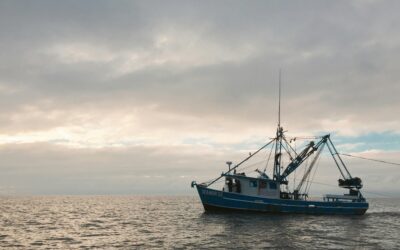 Private vs. Shared Fishing Charters: What’s the Difference?