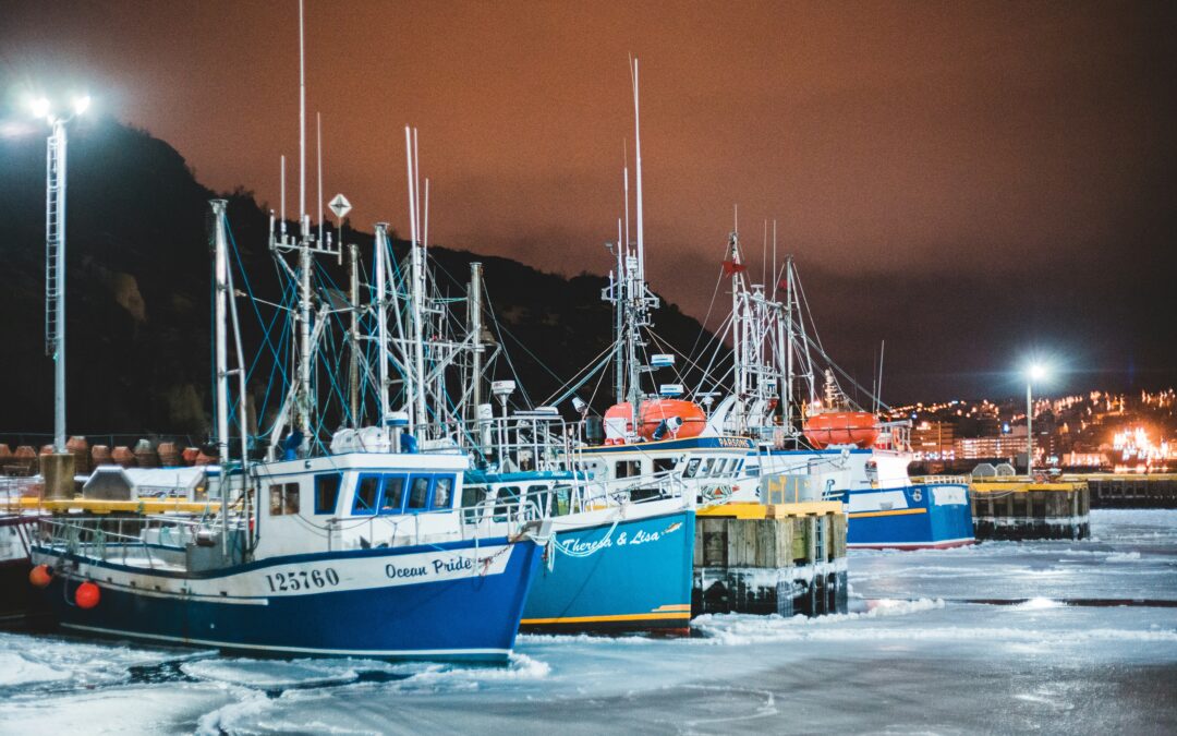 Winter Fishing Charters: What Can You Catch?