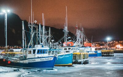 Winter Fishing Charters: What Can You Catch?